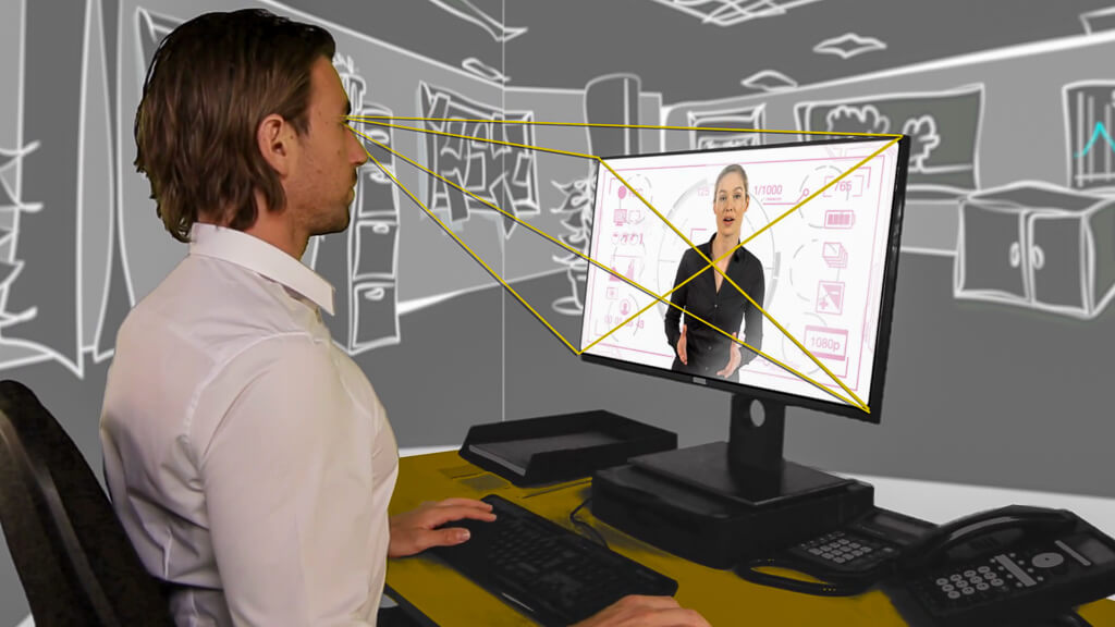 Display Screen Equipment Training Plato Training